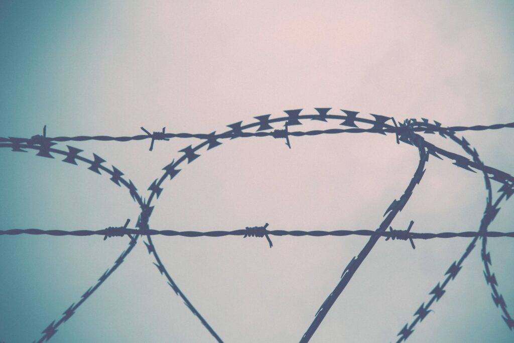 DMZ Tour from Seoul: What to See & How to Book (2026) A barbed-wire border fence, the focus of a DMZ tour from Seoul