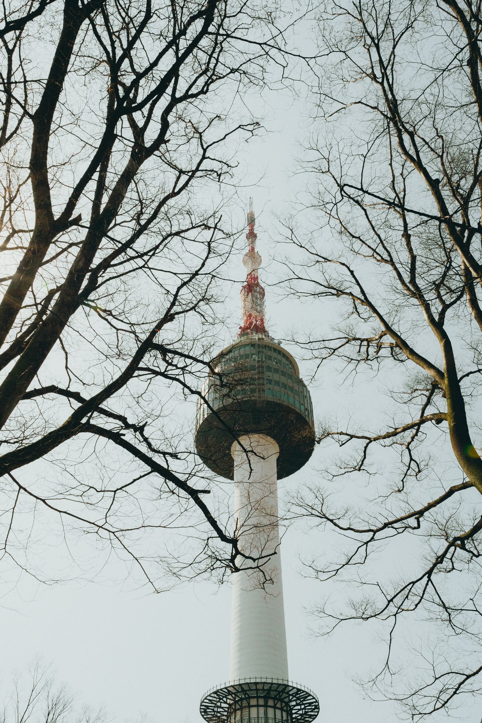 N Seoul Tower framed by trees on Namsan in Seoul