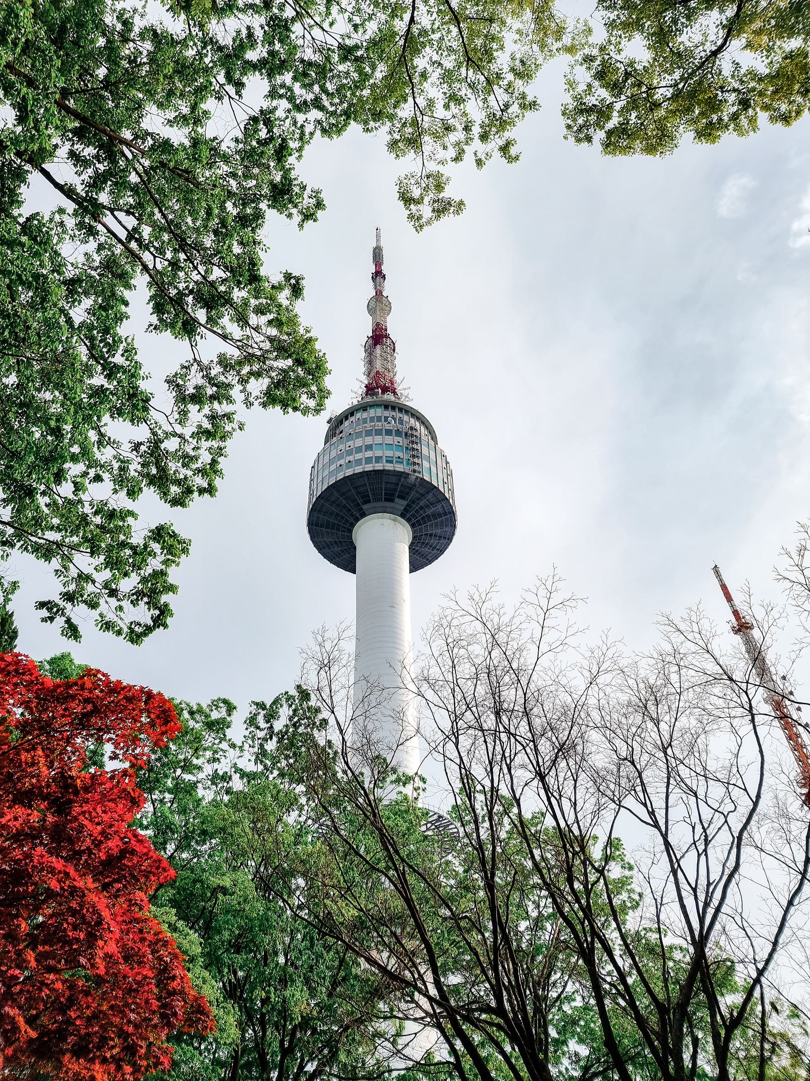 N Seoul Tower on Namsan Mountain in Seoul