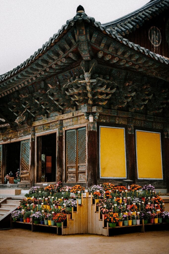Temple Stay in Korea & Hanok Stays: A First-Timer's Guide (2026) Flowers in front of a Korean Buddhist temple, the setting for a temple stay in Korea