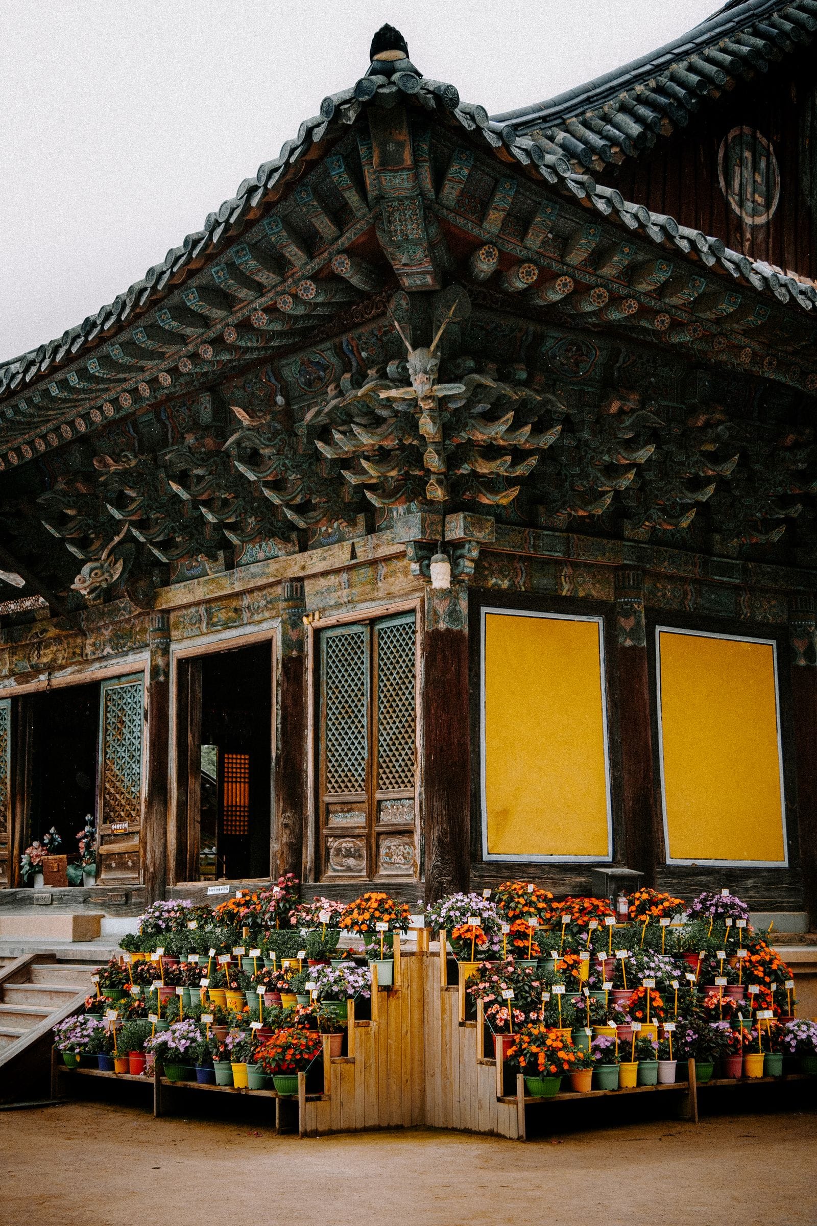 Temple Stay in Korea & Hanok Stays: A First-Timer's Guide (2026) Flowers in front of a Korean Buddhist temple, the setting for a temple stay in Korea