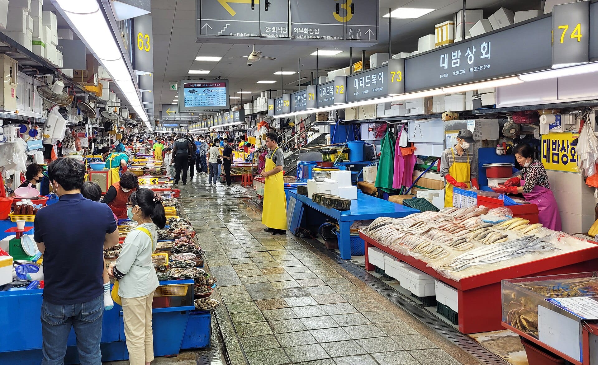 Jagalchi Market near Nampo-dong, Busan, one of the well-connected areas to base yourself for the Sea Festival