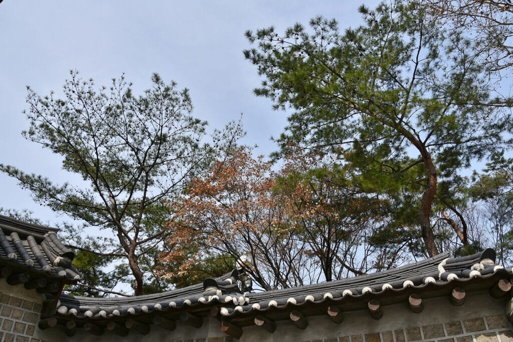 Korea Entry Requirements 2026: e-Arrival Card, K-ETA & Visas Deoksugung Palace in central Seoul