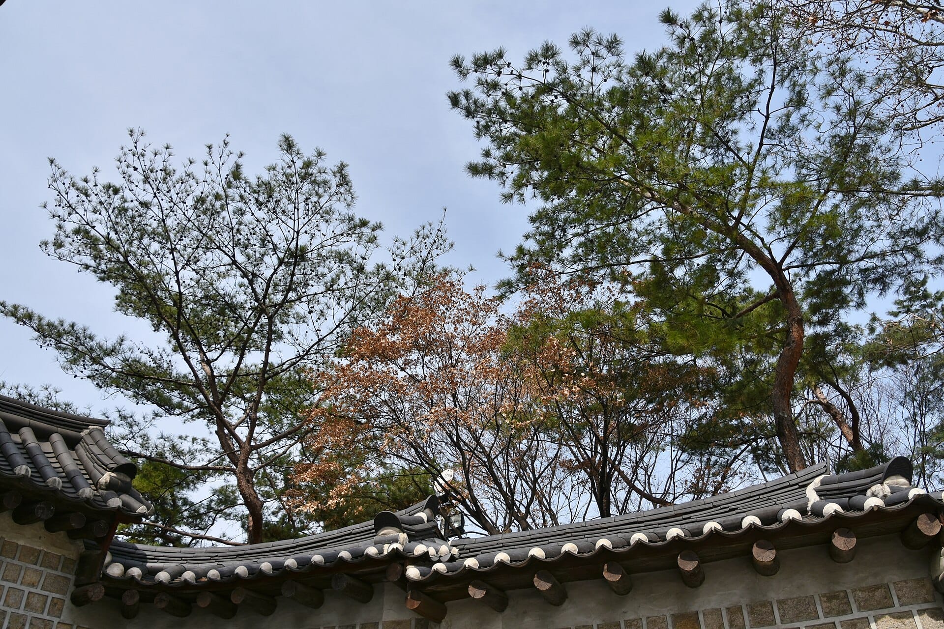 Korea Entry Requirements 2026: e-Arrival Card, K-ETA & Visas Deoksugung Palace in central Seoul