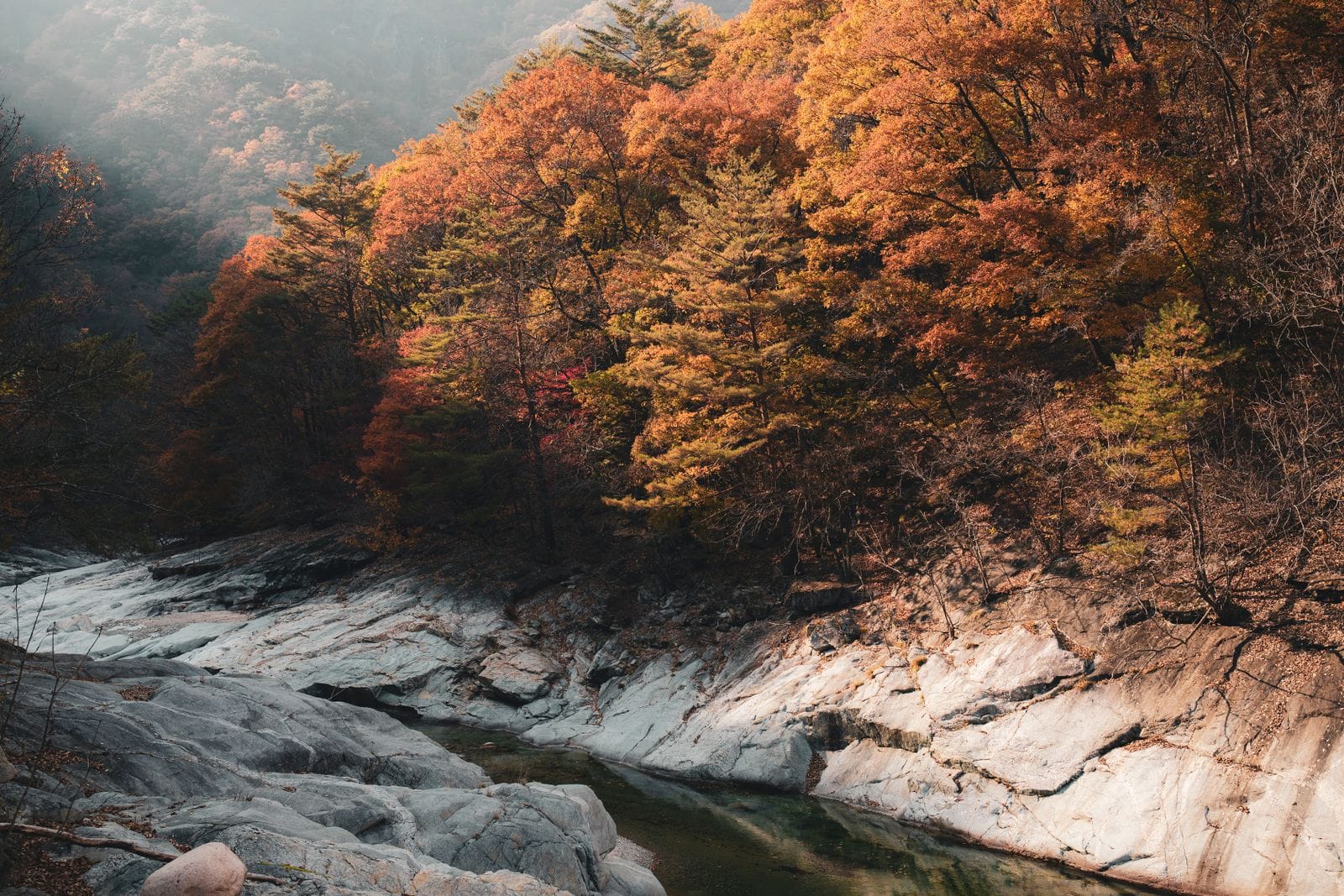 Autumn forest and riverbank glowing red and gold in Gangwon-do, South Korea
