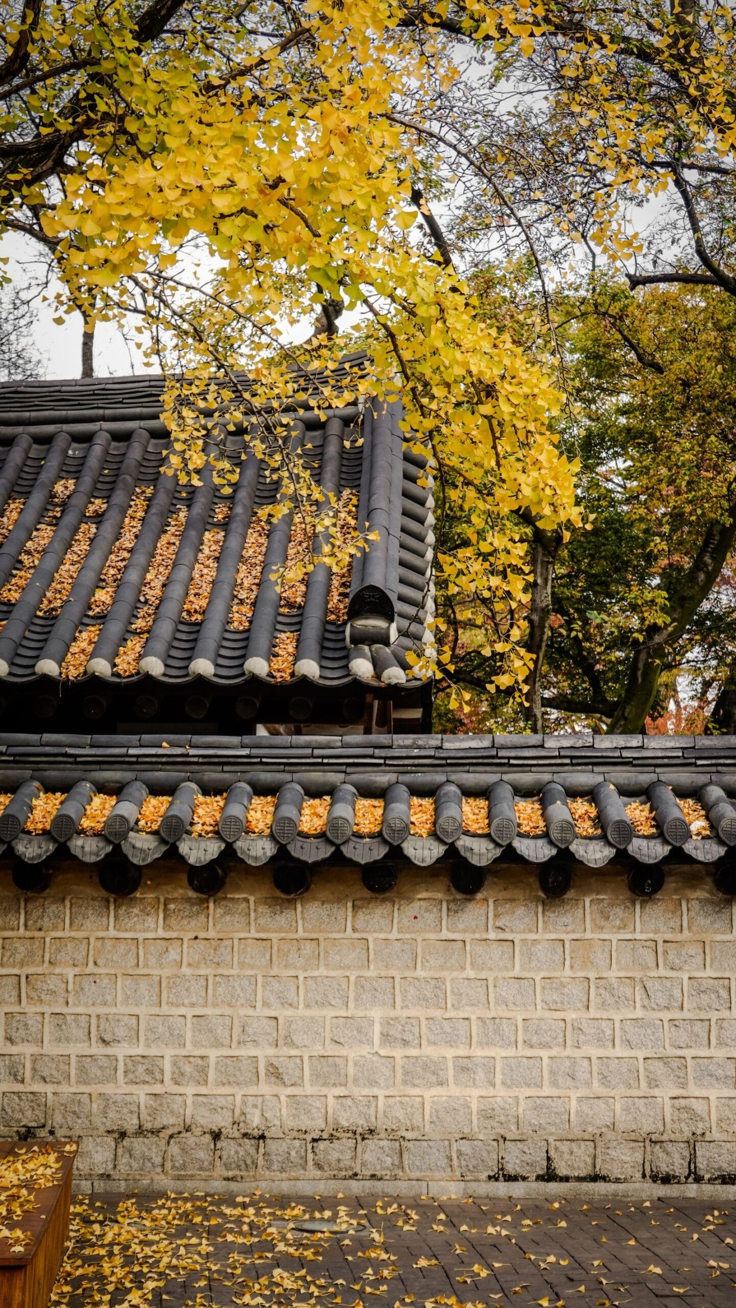 Korean garden architecture framed by vibrant autumn leaves near Gapyeong