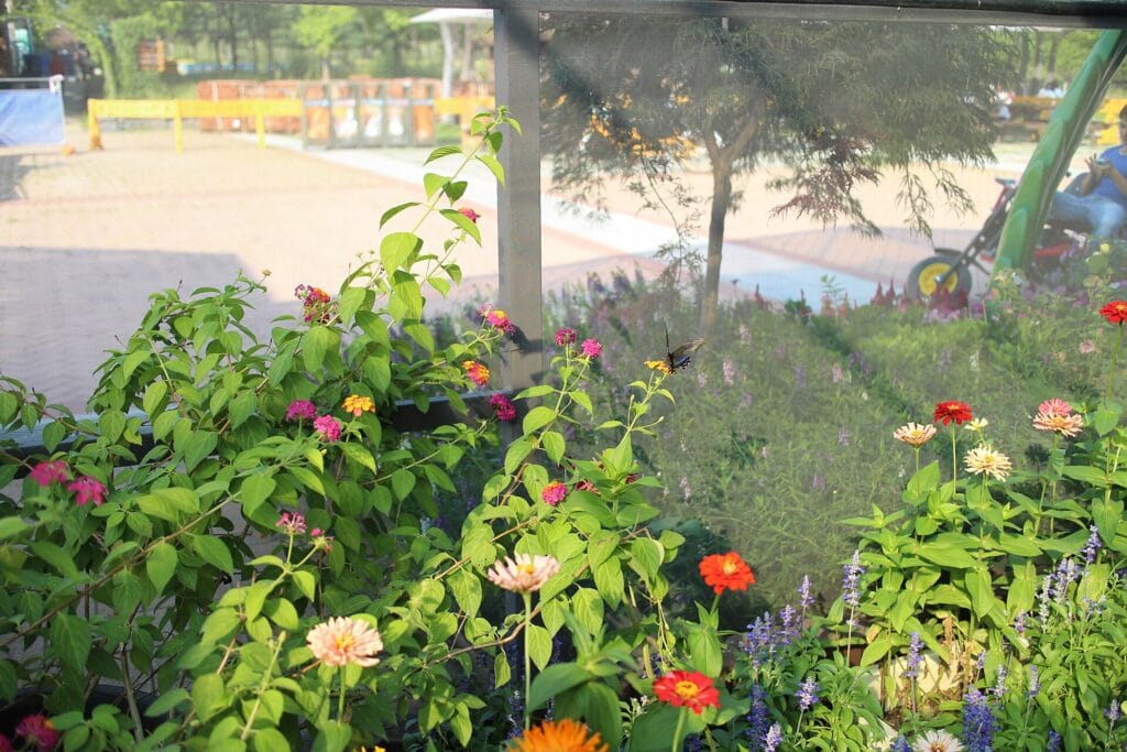 Flower beds at Seoul Forest, one of the garden sites in the 2026 Seoul International Garden Show