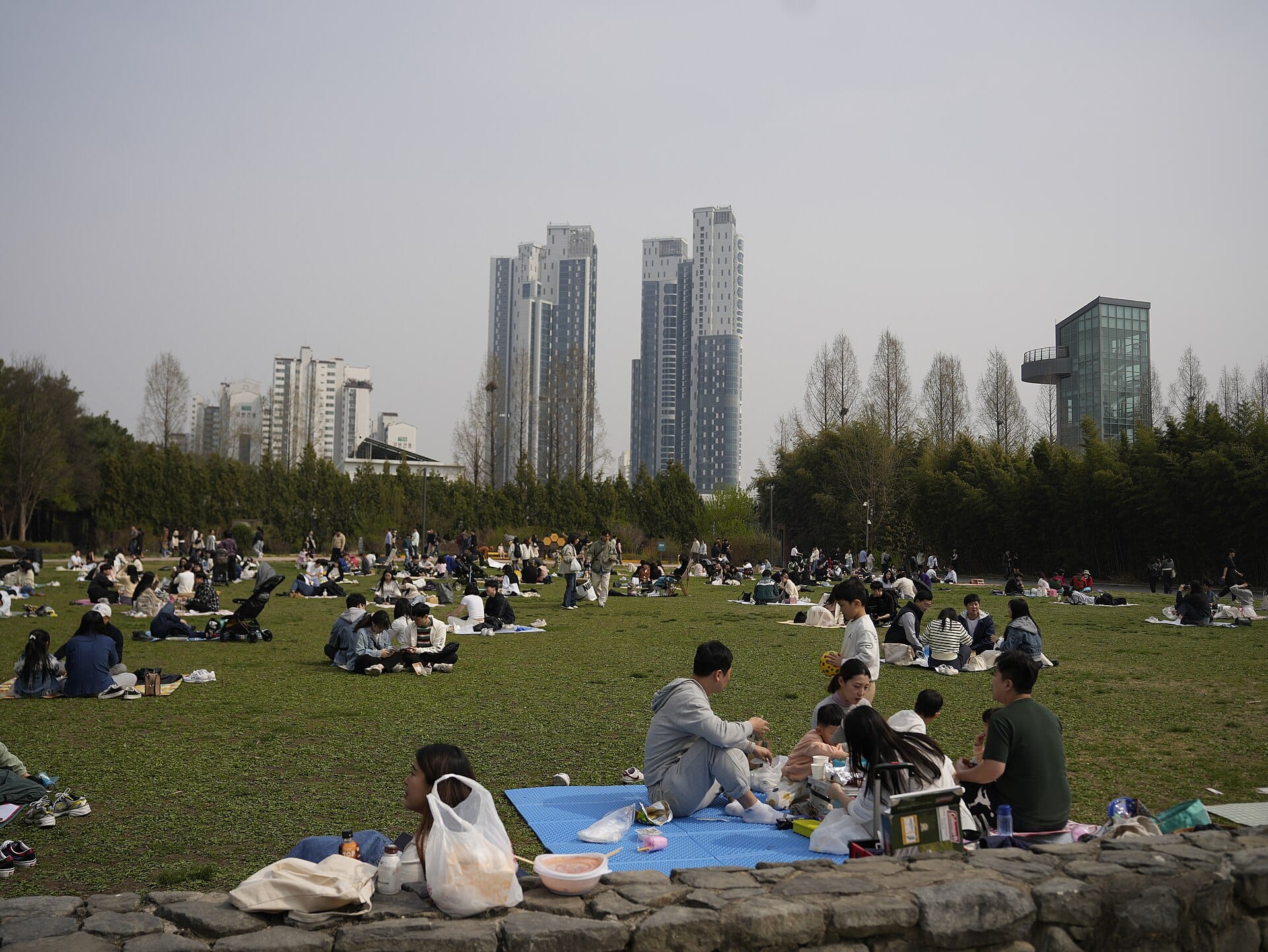 Visitors relaxing on the lawn at Seoul Forest Park during a garden outing