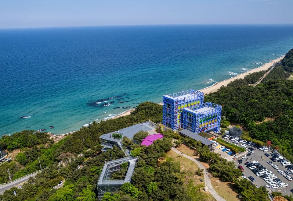 Where to Stay in Gangneung: Best Areas & Hotels for Every Trip (2026) A sculpted, art-filled room at Haslla Art World Museum Hotel on the cliffs near Jeongdongjin
