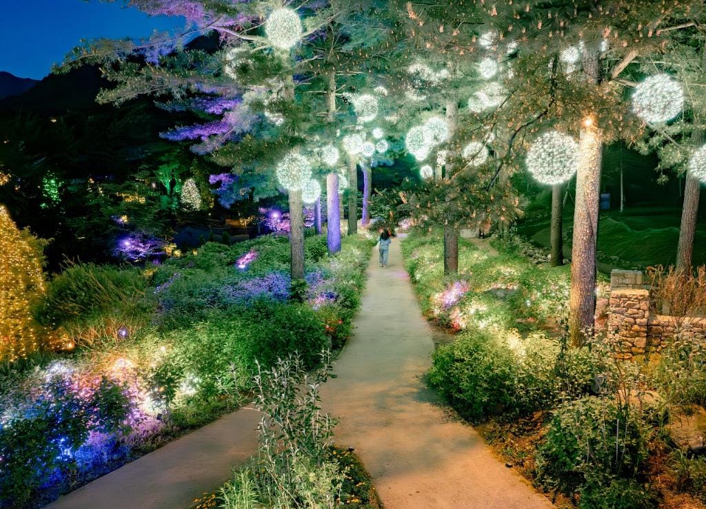 Garden and on-site bakery cafe at The Stay Healing Park in Gapyeong
