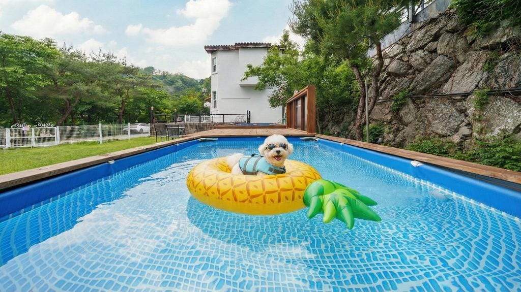 Private villa and lawn garden at Gapyeong Santa Maria Resort pool villa