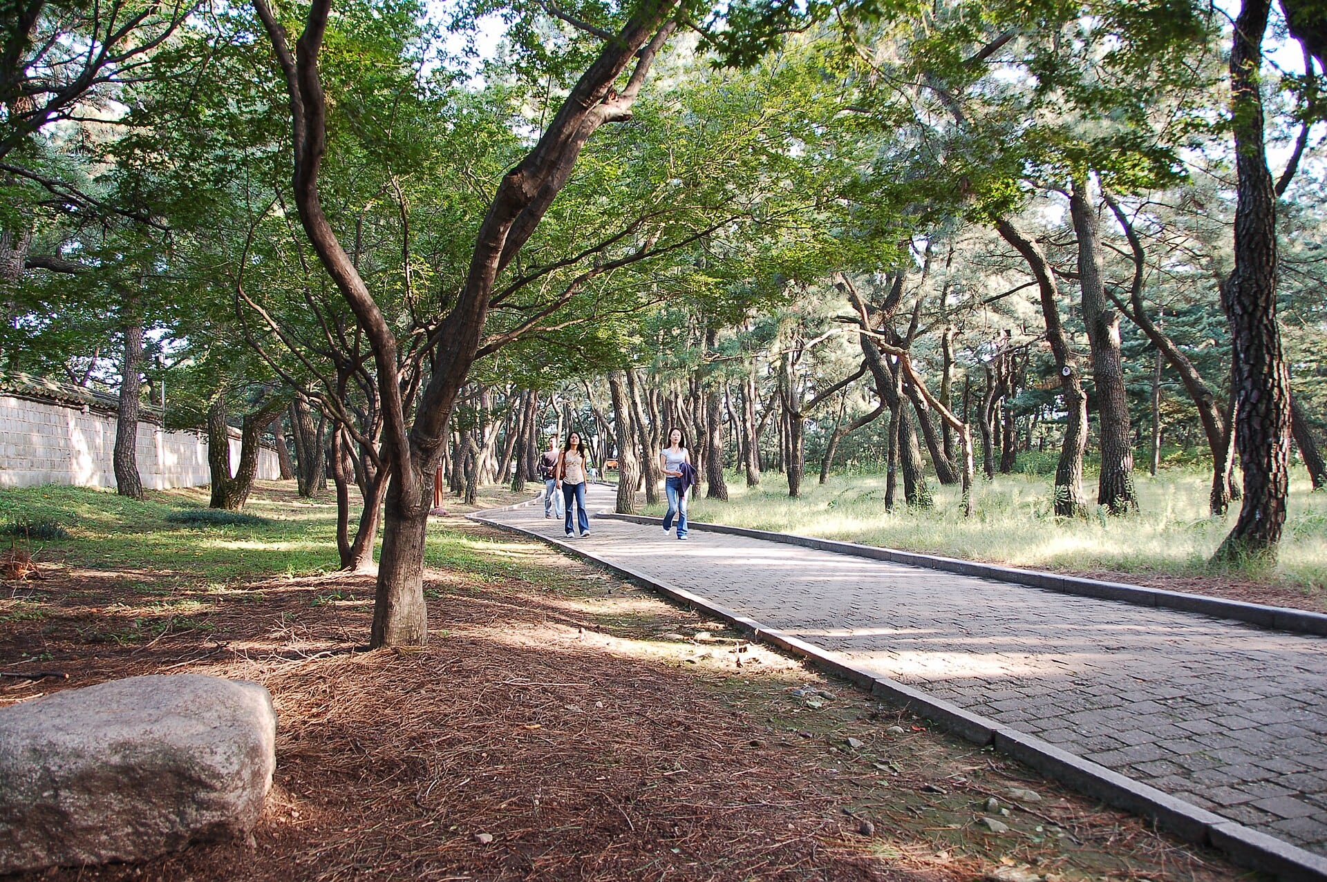 The grassy royal tombs of Daereungwon in downtown Gyeongju, within walking distance of Hwangnam-dong hanok stays