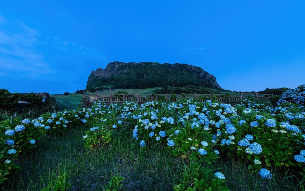 Seongsan Ilchulbong, Jeju's UNESCO-listed sunrise peak, at blue hour — a landmark near the island's quieter east-coast stays