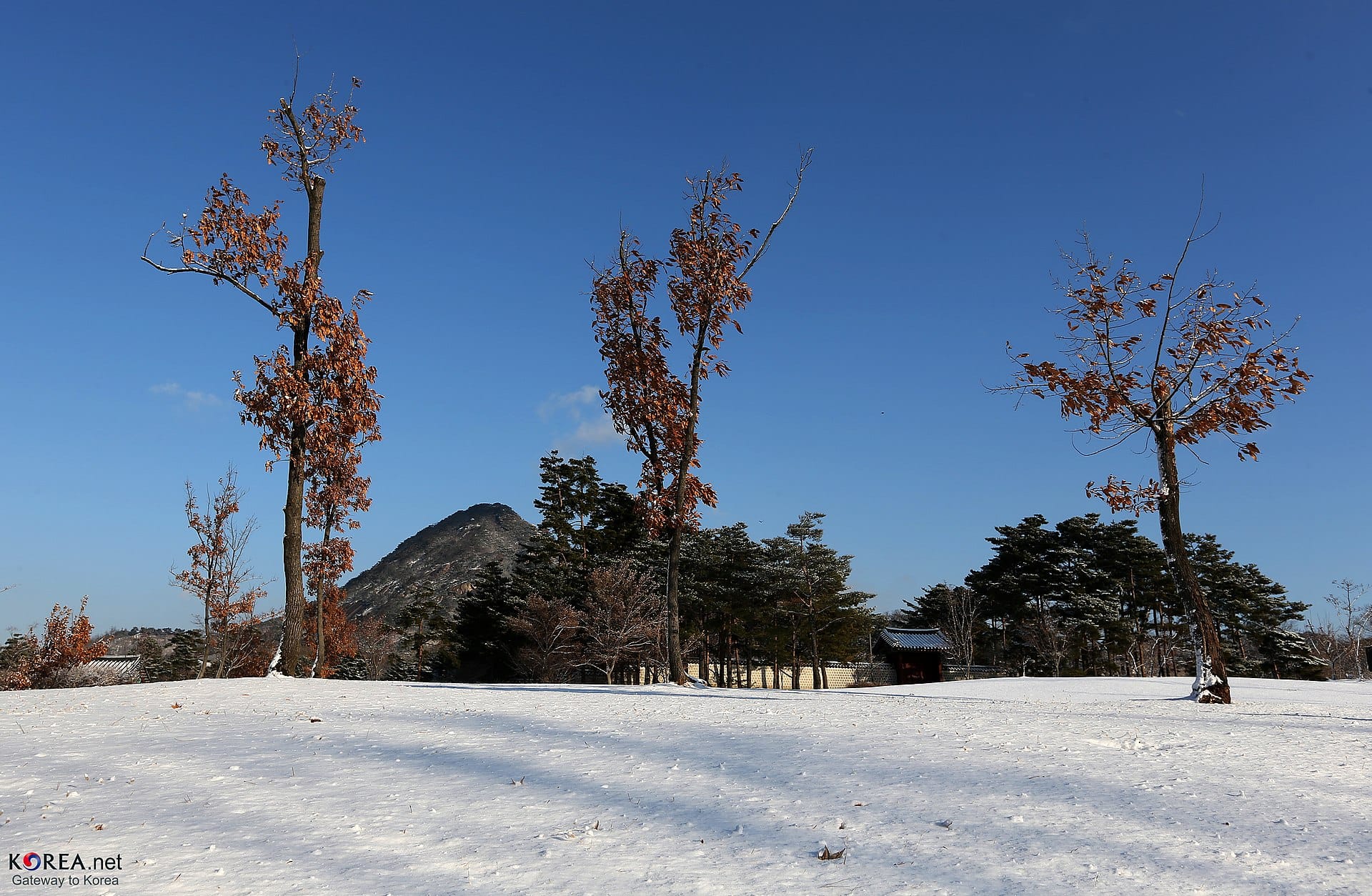 Winter in Seoul: What to Do, Weather & Tips (2026) Snow falling on Gyeongbokgung Palace in Seoul in winter