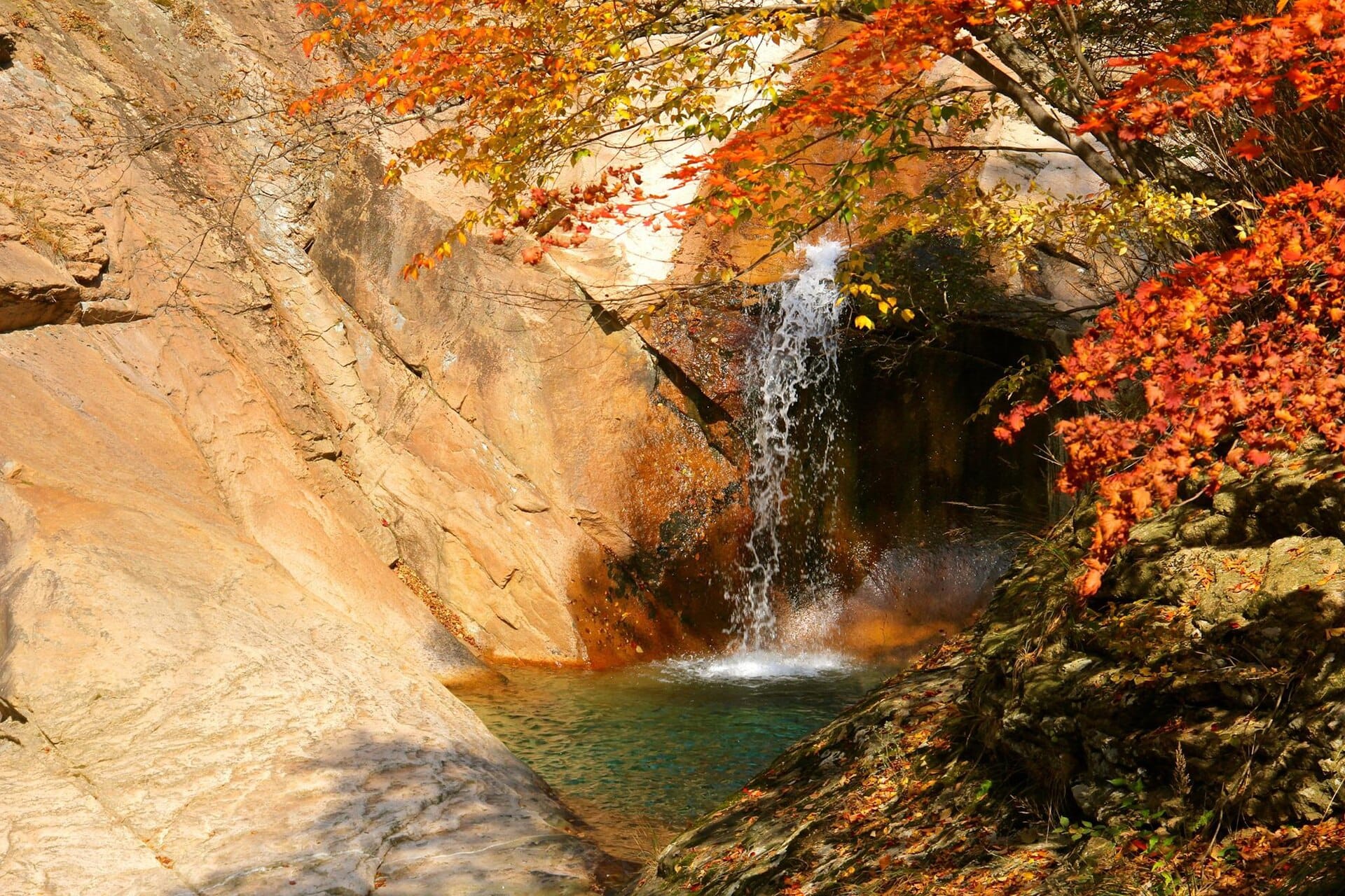 Seoraksan National Park Hiking Guide: Trails, Cable Car & How to Get There (2026) Hiking trail through orange and red maple trees during peak autumn foliage season at Seoraksan National Park