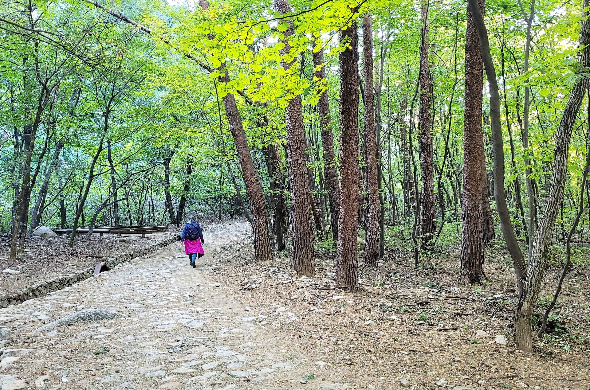 Seoraksan National Park Hiking Guide: Trails, Cable Car & How to Get There (2026) Granite peaks and forested valleys of Seoraksan National Park, Korea's most-visited national park
