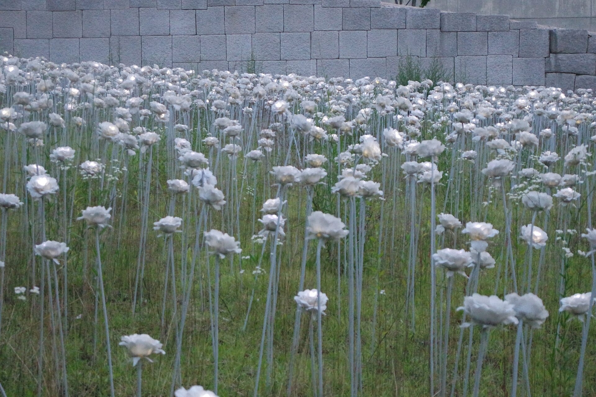 Seoul Walking Festival 2026: Route, Dates & How to Register Dongdaemun Design Plaza (DDP) in Seoul, the starting point of the Seoul Walking Festival