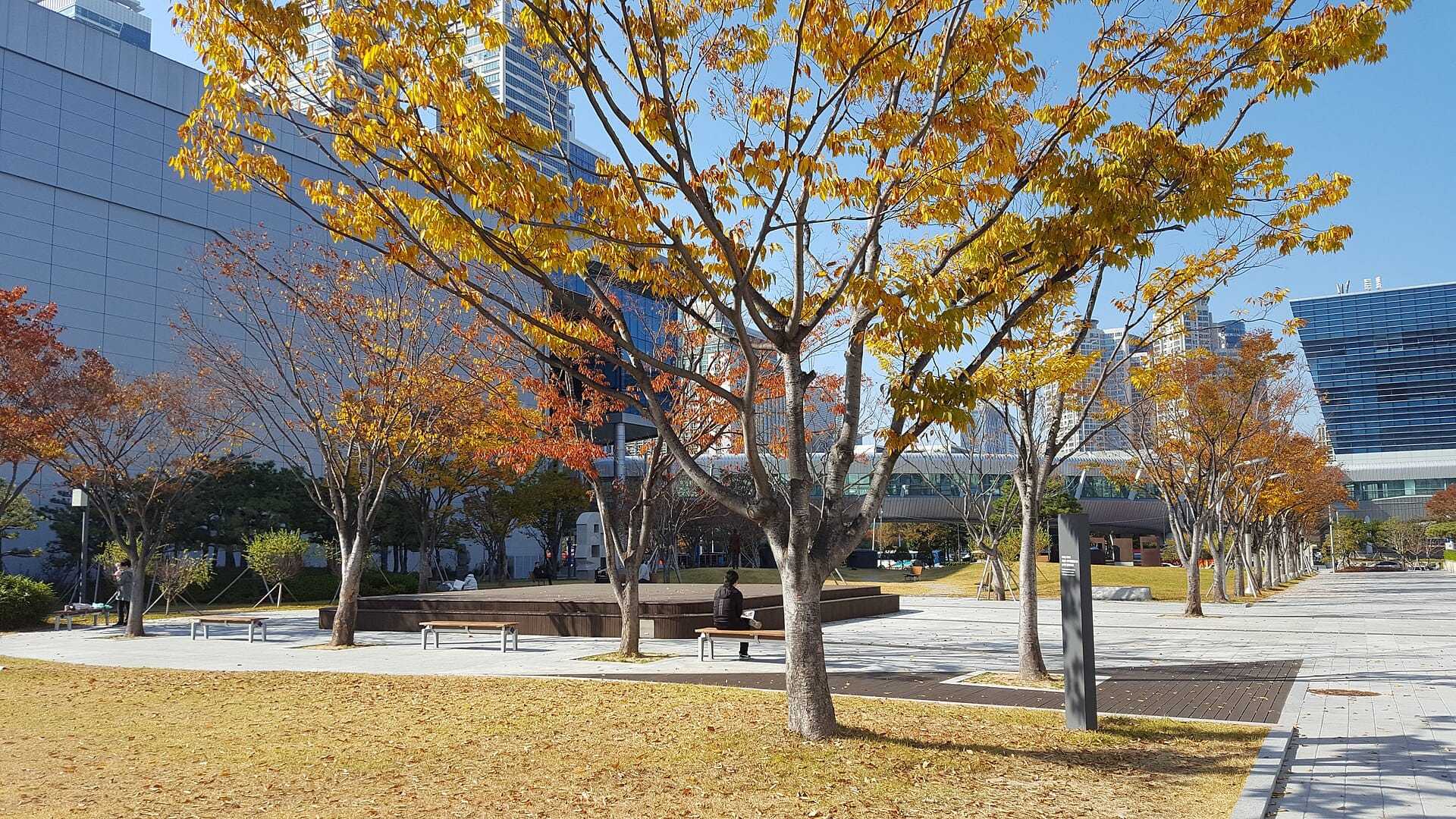 The Busan Museum of Art building exterior