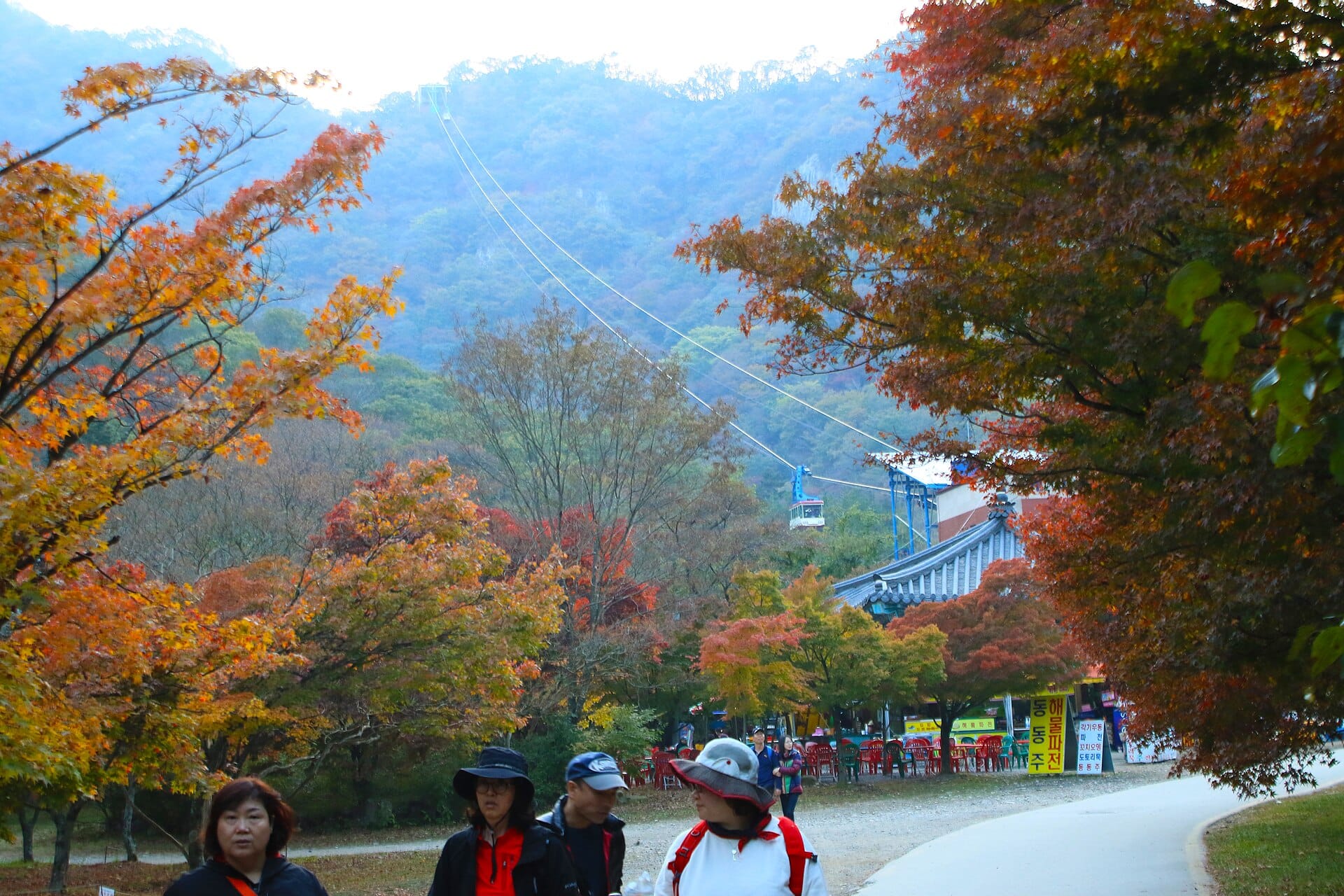 Cable car above Naejangsan National Park, one of the last major peaks to turn color in Korea Forest Service's 2026 forecast