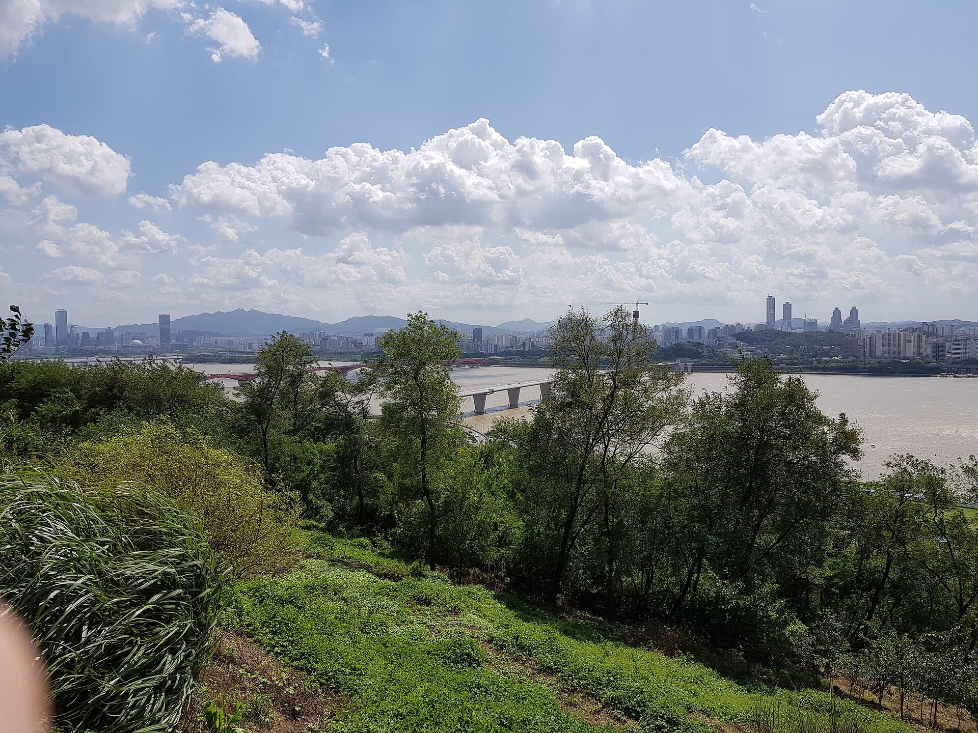 Autumn sky over the silvergrass hills of Haneul Park in Seoul